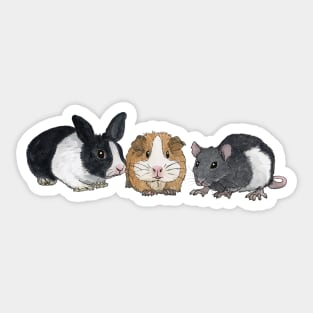 Dwarf rabbit, guinea pig and rat Sticker